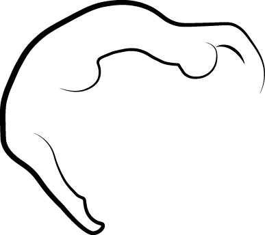 Calabash