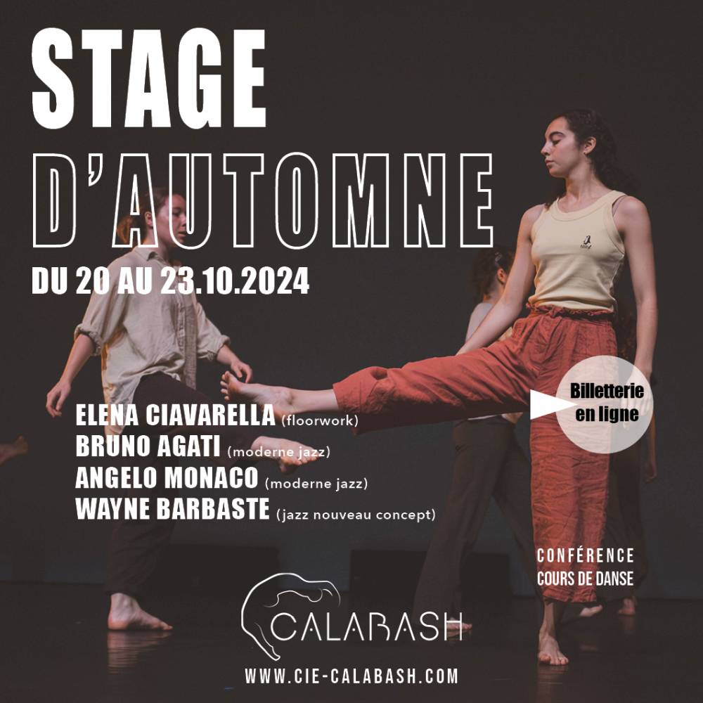STAGE AUTOMNE 24